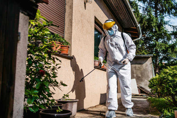 Wasp Removal Services in Crestwood, KY