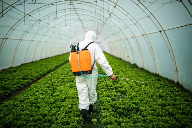Best Pest Control Near Me in Crestwood, KY