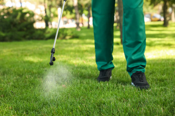 Best Flea Control Services  in Crestwood, KY