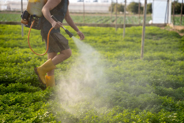 Best Pest Control Near Me  in Crestwood, KY