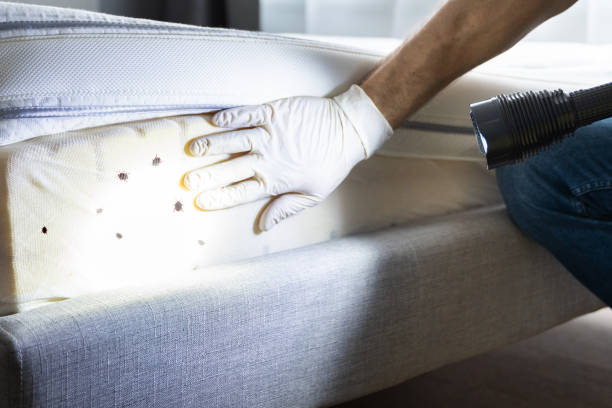 Best Exterminator Services  in Crestwood, KY