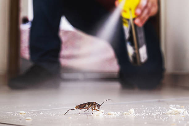 Best Best Pest Control Companies  in Crestwood, KY