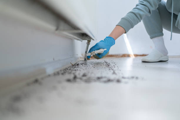 Best Best Pest Control Companies  in Crestwood, KY